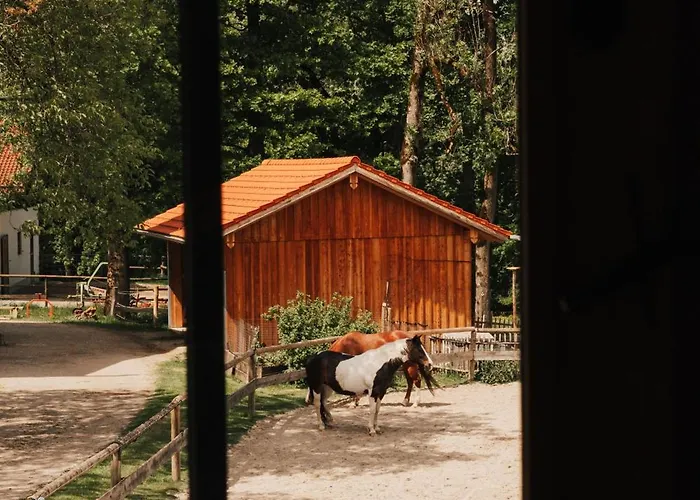 Zugspitze, Kamin, Tiere
